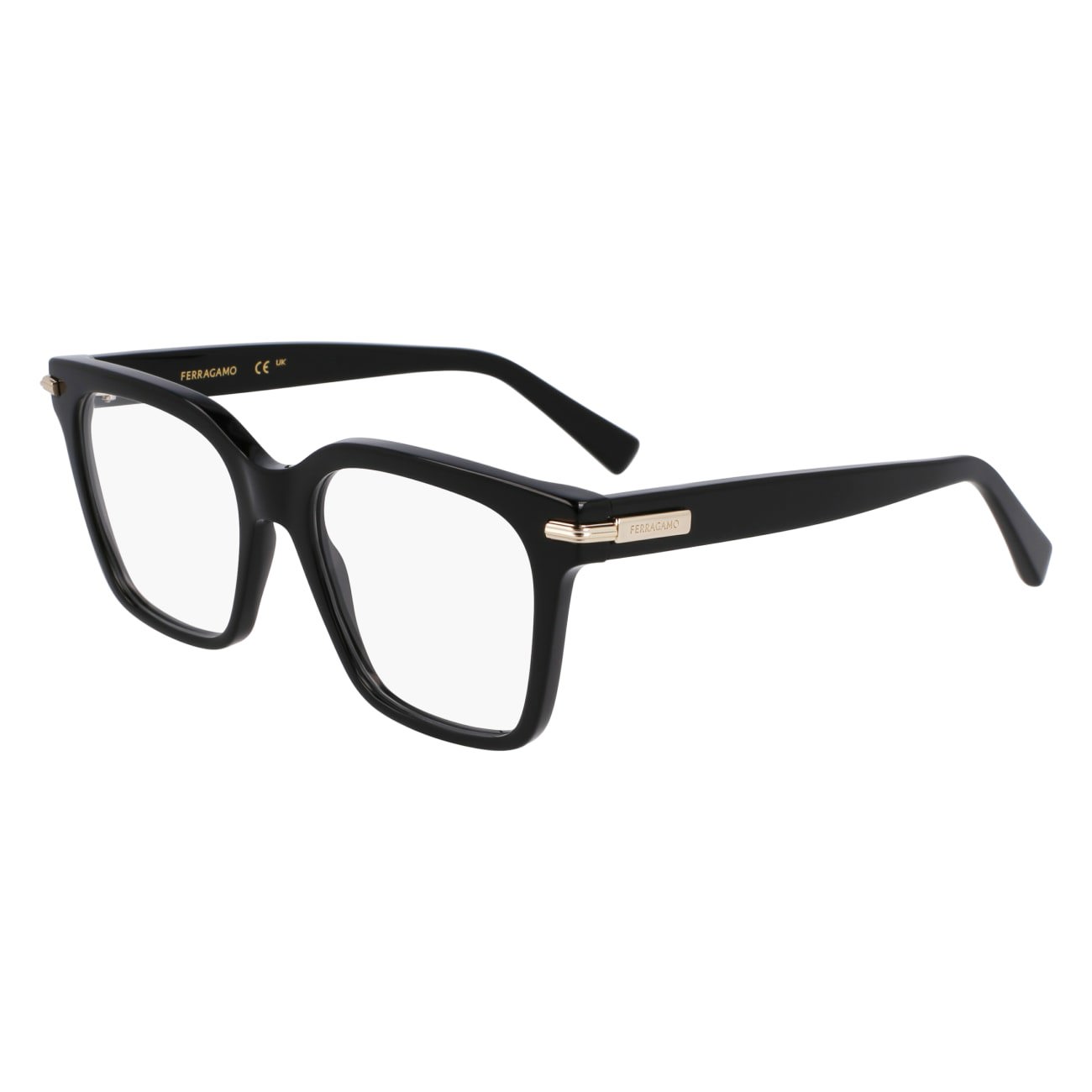 Picture of Salvatore Ferragamo Eyeglasses SF3009