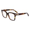 Picture of Salvatore Ferragamo Eyeglasses SF3009