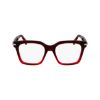 Picture of Salvatore Ferragamo Eyeglasses SF3009