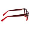 Picture of Salvatore Ferragamo Eyeglasses SF3009