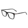 Picture of Salvatore Ferragamo Eyeglasses SF3007