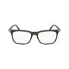 Picture of Salvatore Ferragamo Eyeglasses SF3007