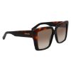 Picture of Salvatore Ferragamo Sunglasses SF1060SN