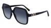 Picture of Salvatore Ferragamo Sunglasses SF1083S