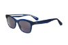 Picture of Sandro Sunglasses SDS2004