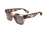 Picture of Sandro Sunglasses SDS2002F