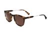 Picture of Sandro Sunglasses SDS1012