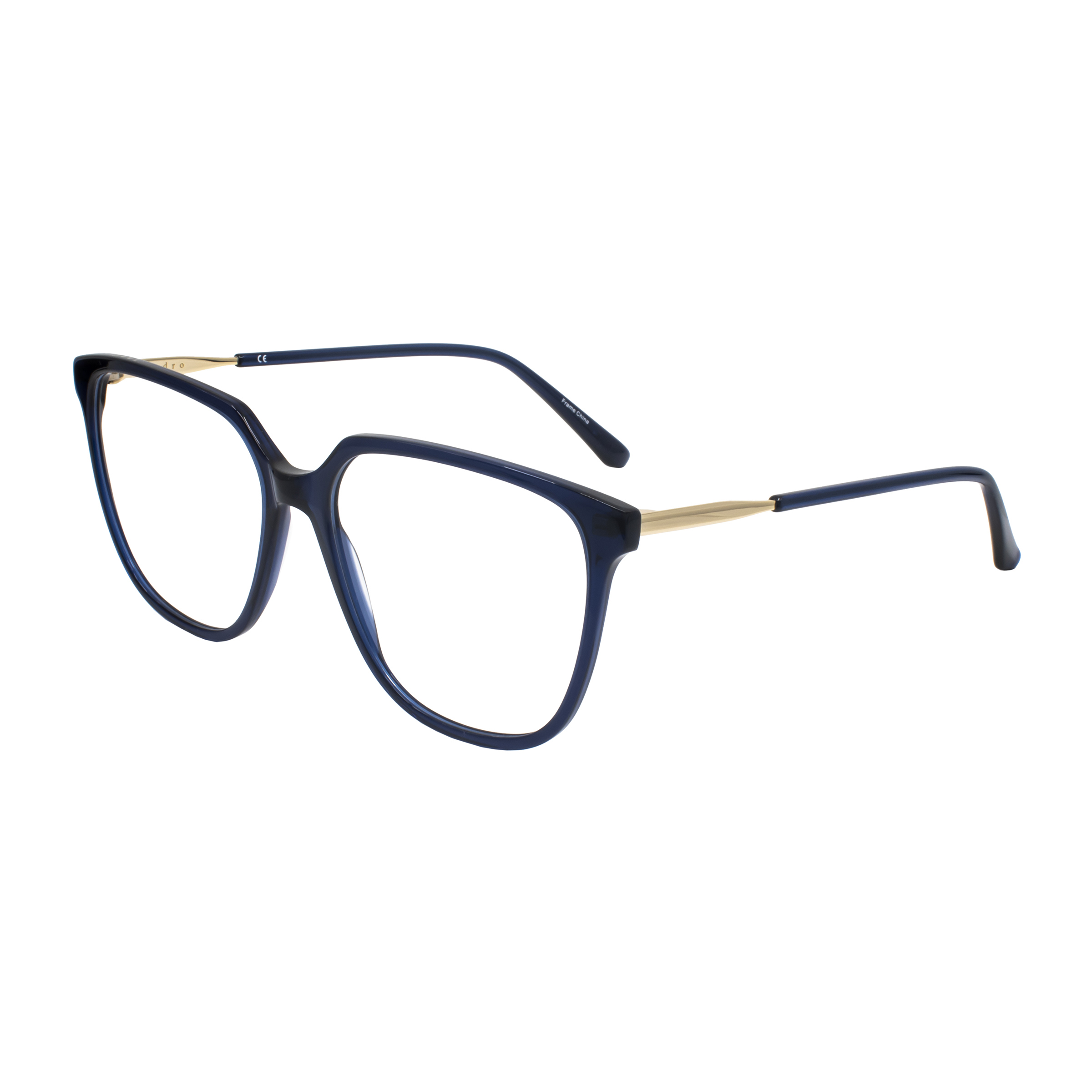 Picture of Sandro Eyeglasses SD 2029