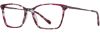 Picture of Scott Harris Eyeglasses SH-956