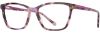 Picture of Scott Harris Eyeglasses SH-954
