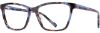 Picture of Scott Harris Eyeglasses SH-954