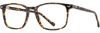 Picture of Scott Harris Eyeglasses SH-952