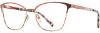 Picture of Scott Harris Eyeglasses SH-930