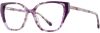 Picture of Scott Harris Eyeglasses SH-910
