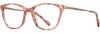Picture of Scott Harris Eyeglasses SH-882