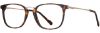 Picture of Scott Harris Eyeglasses SH-X 022