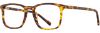 Picture of Scott Harris Eyeglasses SH-854
