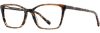 Picture of Scott Harris Eyeglasses SH-844