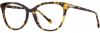 Picture of Scott Harris Eyeglasses SH-X 021