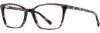 Picture of Scott Harris Eyeglasses SH-844