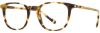 Picture of Scott Harris Eyeglasses SH-X 020