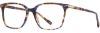 Picture of Scott Harris Eyeglasses SH-X 017