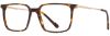 Picture of Scott Harris Eyeglasses SH-X 016