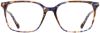 Picture of Scott Harris Eyeglasses SH-X 017
