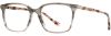 Picture of Scott Harris Eyeglasses SH-X 017