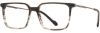Picture of Scott Harris Eyeglasses SH-X 016