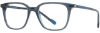 Picture of Scott Harris Eyeglasses SH-X 019