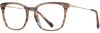 Picture of Scott Harris Eyeglasses SH-X 018