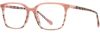 Picture of Scott Harris Eyeglasses SH-X 017