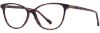 Picture of Scott Harris Eyeglasses SH-X 015