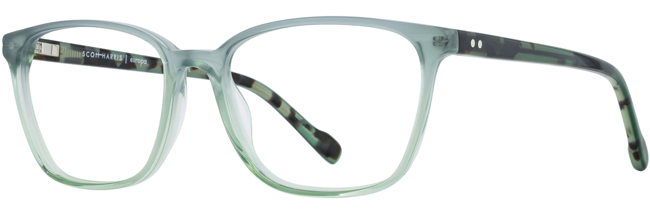 Picture of Scott Harris Eyeglasses SH-812