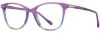 Picture of Scott Harris Eyeglasses SH-X 011