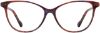 Picture of Scott Harris Eyeglasses SH-X 015