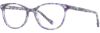Picture of Scott Harris Eyeglasses SH-808