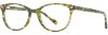 Picture of Scott Harris Eyeglasses SH-808
