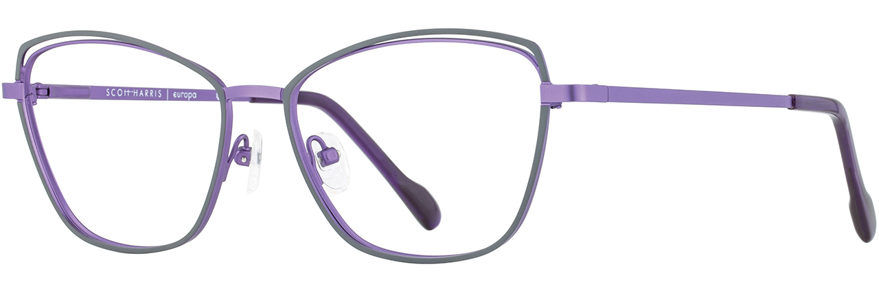 Picture of Scott Harris Eyeglasses SH-806