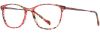 Picture of Scott Harris Eyeglasses SH-742