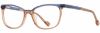 Picture of Scott Harris Eyeglasses SH-676
