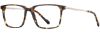 Picture of Scott Harris Eyeglasses SH-X 006