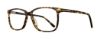 Picture of Serafina Eyewear Eyeglasses Silas
