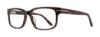 Picture of Serafina Eyewear Eyeglasses Drake