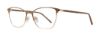 Picture of Serafina Eyewear Eyeglasses Mason