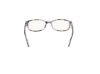 Picture of Skechers Eyeglasses SE50037