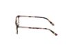 Picture of Skechers Eyeglasses SE50034