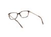 Picture of Skechers Eyeglasses SE50029