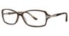 Picture of Sophia Loren Eyeglasses 1569
